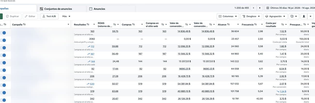 Panel real de Meta Ads, una de 493 campañas, nombres de cuenta y campaña difuminados por privacidad